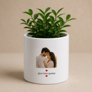 Custom white plant pot with couple photo print and decorative green indoor plant on neutral background.